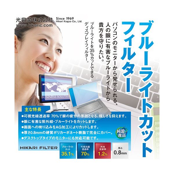 【送料無料】(まとめ) 光興業 ブルーライトカットフィルター24.5インチ(16:9) 用 LEDW-245 1枚[×3セット]　おすすめ 人気 安い 激安 格安 おしゃれ 誕生日 プレゼント ギフト 引越し 新生活 ホワイトデー
