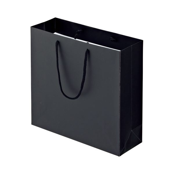 ̵(ޤȤ) TANOSEE ޥåȥȼ M 襳320ߥ300ߥޥ110mm ֥å 1ѥå(10) [10å]...