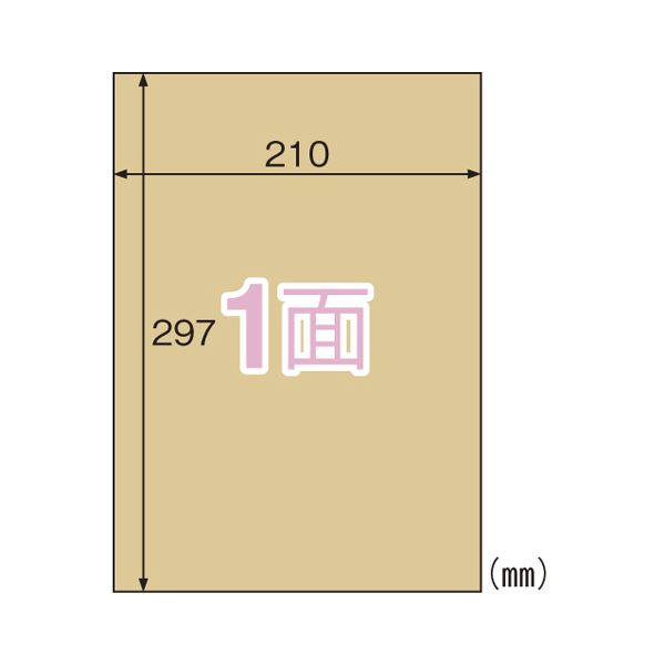 【送料無料】(まとめ) ヒサゴ クラフト紙ラベル ライトブラウン ノーカット 20枚入[×5セット] おすすめ 人気 安い 激安 格安 おしゃれ 誕生日 プレゼント ギフト 引越し 新生活 ホワイトデー