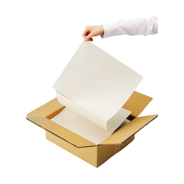 ̵(ޤȤ) TANOSEE ܡڡѡ(Ȣ) 355304.8mm 1Ȣ(900) [5å] ͵ ¤  ʰ ...