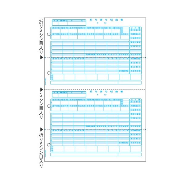 【送料無料】ヒサゴ 給与賞与明細書 A4タテ 2面GB2102 1箱(500枚) おすすめ 人気 安い 激安 格安 おしゃれ 誕生日 プレゼント ギフト 引越し...