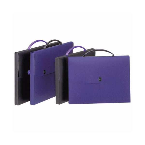 ̵(ޤȤ) 饤̳ ǥ󥱡 B4֥롼 DS-263 1[10å] ͵ ¤  ʰ  ...