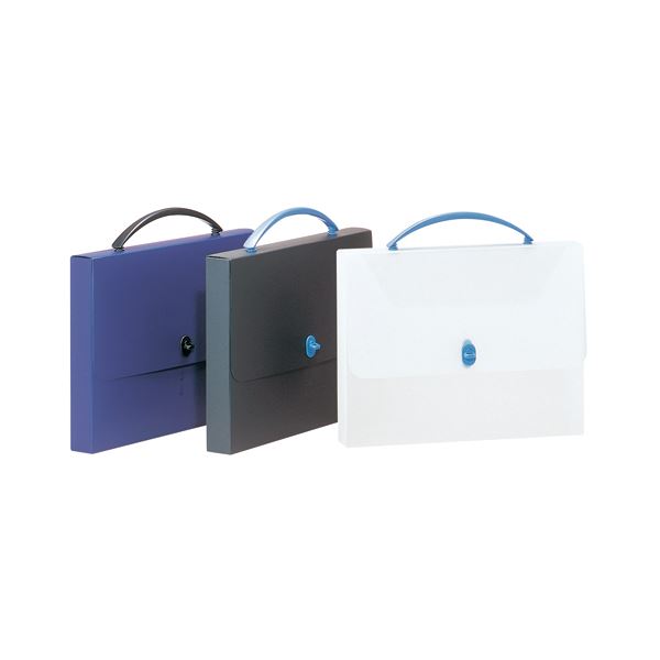 【送料無料】(まとめ) ライオン事務器 デザインケース A4ブラック DS-253 1個[×10セット] おすすめ 人気 安い 激安 格安 おしゃれ 誕生日 プレゼント ギフト 引越し 新生活 ホワイトデー