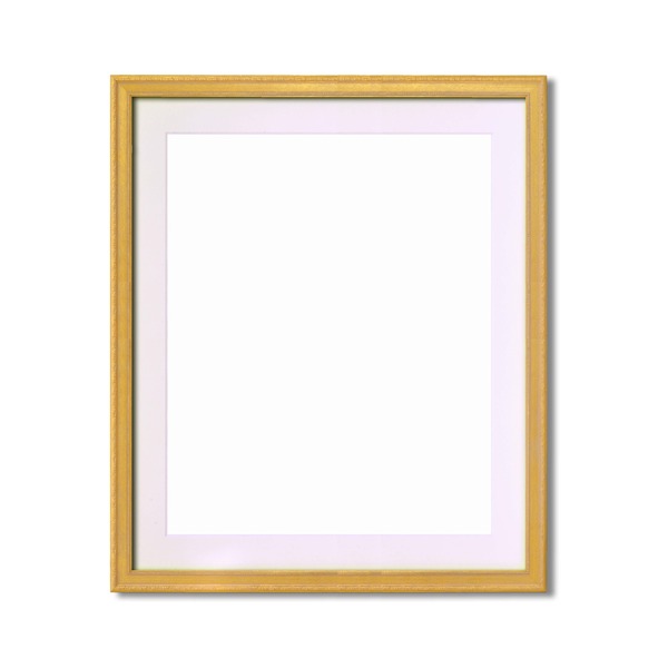 【おすすめ・人気】〔 軽量水彩額 〕 柄入り 水彩額 マット付 F8 ゴールド 金水彩額 銀水彩額 UV 紫外線 カットアクリル 額 額縁 フレーム|安い 激安 格安