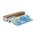 【送料無料】キヤノン 厚口コート紙HGLFM-CPH/B0/145 B0ロール 1030mm×30.5m 8961B008 1本 おすすめ 人気 安い 激安 格安 おしゃれ 誕生日 プレゼント ギフト 引越し 新生活 ホワイトデー