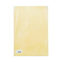 【送料無料】寿堂 大型クラフト封筒A3マチなし10枚パック*10 おすすめ 人気 安い 激安 格安 おしゃれ 誕生日 プレゼント ギフト 引越し 新生活 ホワイ...