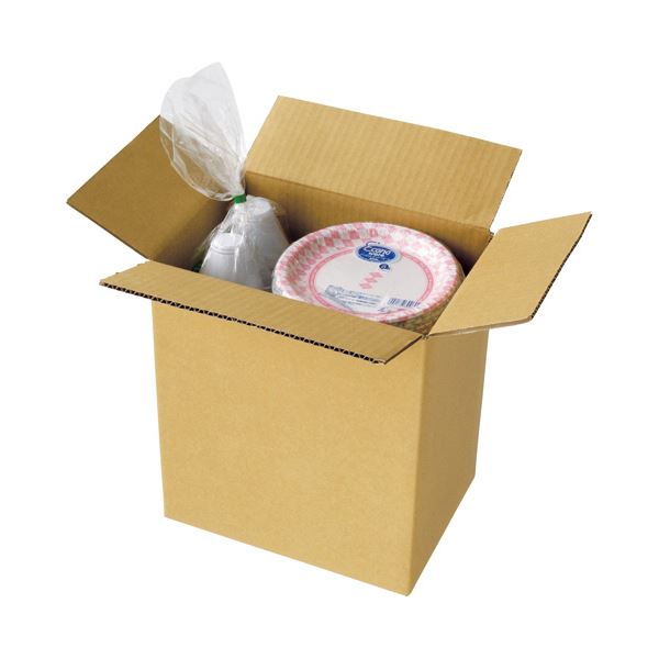 【おすすめ・人気】TANOSEE 宅配用ダンボール箱 80-B5 1セット（60枚：20枚×3パック）|安い 激安 格安