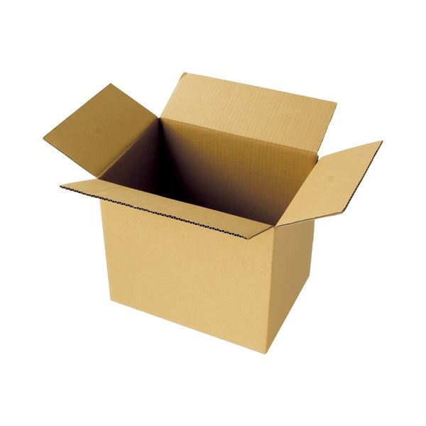 【送料無料】(まとめ) TANOSEE 宅配用ダンボール箱 100-B4 1パック(20枚) [×3セット]　おすすめ 人気 安い 激安 格安 おしゃれ 誕生日 プレゼント ギフト 引越し 新生活