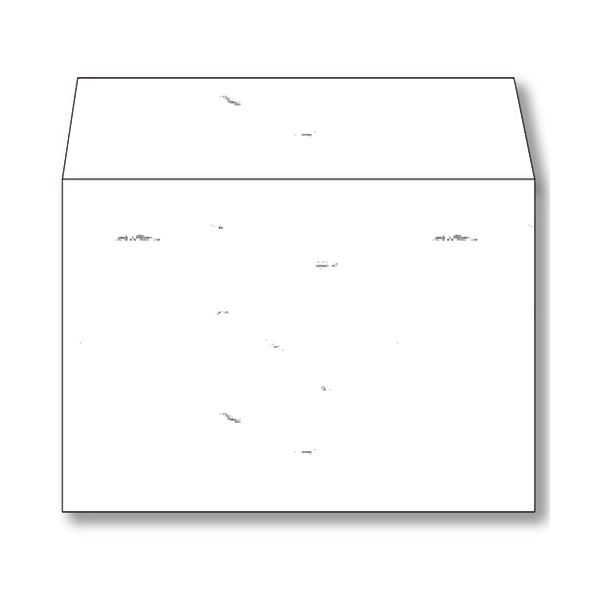 ̵(ޤȤ) Ĺ粰Ź ¤߻ 2105gm2   ʥ-451 1ѥå(50) [5å] ͵ ¤  ...