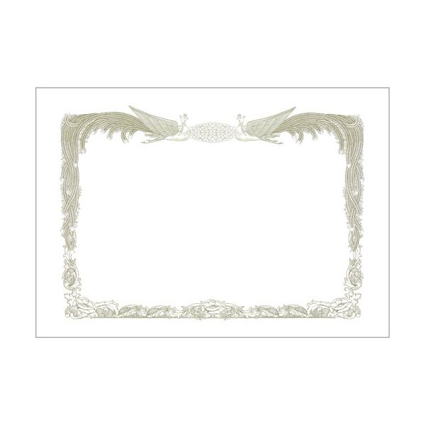 ̵(ޤȤ) ҥ ޾ѻ A4襳 CJ170S 1(10) [10å] ͵ ¤  ʰ   ץ쥼...