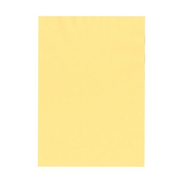 【送料無料】北越コーポレーション 紀州の色上質 A4 Y目 超厚口 クリーム 1箱(800枚：100枚×8冊) おすすめ 人気 安い 激安 格安 おしゃれ 誕生日 プレゼント ギフト 引越し 新生活 ホワイトデー