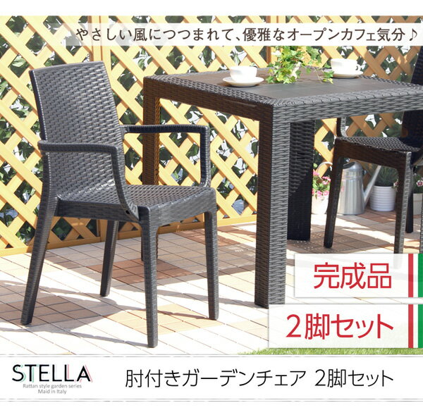 ガーデンパーソナルチェア2脚セット【肘付きブラック】幅約54cm洗えるプラスチック〔店舗〕【代引不可】