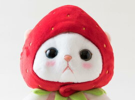 ぬいぐるみ猫いちごコスチューム白猫Mサイズフルーツ猫choochoo本舗チューチュー本舗ねこネコグッズ猫雑貨