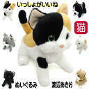 ぬいぐるみ 猫 いっしょがいいね 渡辺あきお ビーンズ リニューアル コンパクト 小さめサイズ ハチワレ くろねこ みけねこ ミックス さばとら シロ 猫 猫好...