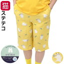 【在庫一掃★残りわずか】 パンツ ステテコ レディース 猫柄 ワイド 7分丈 ゆったり ひんやり 涼しい 冷感 レーヨン とろみ テロテロ さらさら フリーサイ...