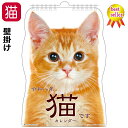 カレンダー 2026 壁掛け 猫 2026年 令和8年 紙 日本製 日曜始まり 猫カレンダー 動物カレンダー 猫柄 猫雑貨 猫グッズ かわいい おしゃれ ギフト プレゼント 【 誕生日 】