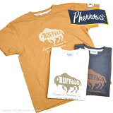 フェローズ（Pherrow's）Tシャツ PT3 BUFFALO 22S-PT3