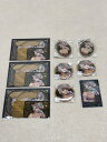 未開封★推しくじ Dr.STONE ~シンデレラくじ~ 西園寺羽京 アクリルキーホルダー 缶バッジ 推しパシャカード チケット風ステッカー&ブロマイドセット 9点セット【中古】【008】083