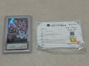 【送料無料】ARS10+ ワンピースカード ペローナ OP06-093 SR パラレル【中古】【008】136