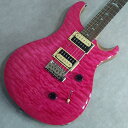 Paul Reed Smith / SE Custom 24yÁzyy/GLM^[/PRS/SE/JX^24/2020N/\tgP[Xtz