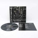 【中古】LP THE HIGH-LOWS ザ・ハイロウズスパイダー・ホップ BVJR-19905【レトロ】
