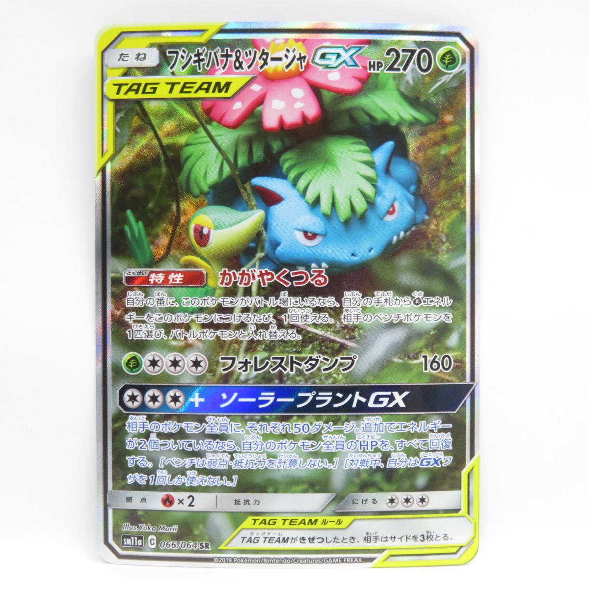 楽天市場】ポケモンカード フシギバナ ツタージャの通販 楽天市場】ポケモンカード フシギバナ ツタージャの通販