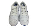 【未使用】NIKE DUNK LOW RETRO DV0831-104 25cm 