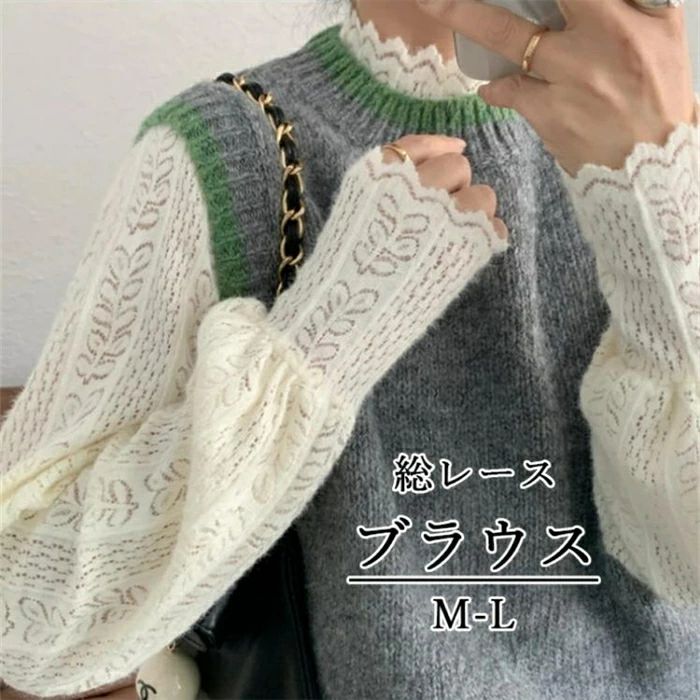 ブラウス レースブラウス 長袖 レディース シャツブラウス トップス プルオーバー ハイネックブラウス 透かし編み オフィス 通勤 OL 体型カバー 秋 冬 微起毛 コーデ ポイント消化 重ね着 レイヤード レースインナー 秋冬 柔らかい 暖かい 20代 30代 40代 送料無料