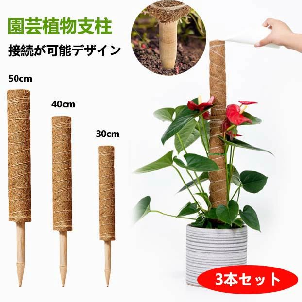 3本セット ココスティック モンステラ 支柱 おしゃれ 植物 支柱 ポトス 支柱 高さ調整可能 頑丈 耐久 ..