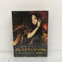 ブレイドアンドソウル プレミアムキット 初回版 Package for Windows インターネット専用【中古】ホビー ゲーム 53HSSS20131(2)