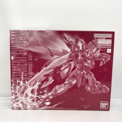 1/100 MG ZGMF-X12A/RGX-00 テスタメントガンダム 「機動戦士ガンダムSEED DESTINY ASTRAY」 【中古】ホビー プラモデル 模型 ガンプラ 51H04004084