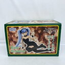 機動戦艦ナデシコ ホシノ・ルリ16才(メイドV) ’08ver. 1/5 【中古】ホビー フィギュア 美少女 53HSSS21419