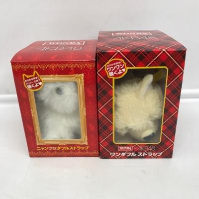 AKB48 渡辺麻友 まゆゆ アサヒ飲料 WON