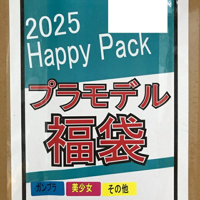 プラモデル福袋2025 ガンプラ/美少女/その他 ランダム封入【未組立品】ホビー プラモデル・模型 53HSSS17694