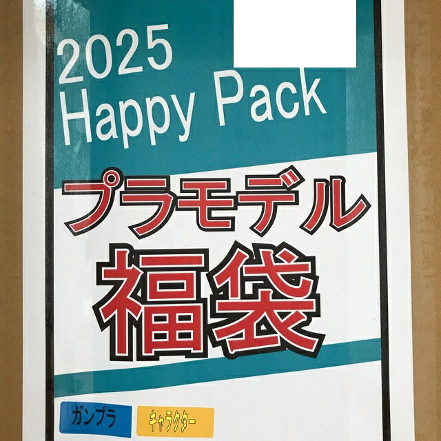 プラモデル福袋2025 ガンプラ/キャラクター ランダム封入【未組立品】ホビー プラモデル・模型 53HSSS17695