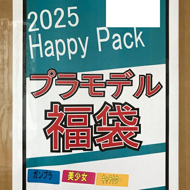 プラモデル福袋2025 ガンプラ/美少女/キャラクター ランダム封入【未組立品】ホビー プラモデル・模型 53HSSS17696