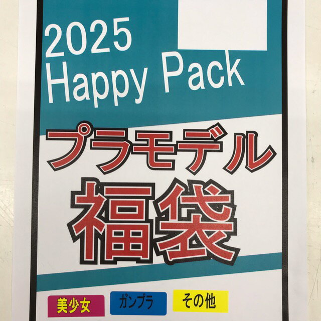 プラモデル福袋2025 美少女/ガンプラ/その他 ランダム封入【未組立品】ホビー プラモデル・模型 53HSSS17728