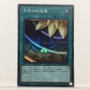 【プレイ用】遊戯王 冥界の蛇睡蓮 D