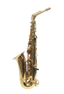 ※佐川急便にて配送※※マウスピース欠品※【中古】【店頭併売品】YAMAHA YAS-875EX アルトサックス カスタムEX ヤマハ 有村純親氏選定品 ケース付【鹿児島店】