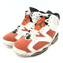 【中古】NIKE AIR JORDAN 6 GATORADE 27.5cm 384664-145 エアジョーダン6 ゲータレード 66 240066126772