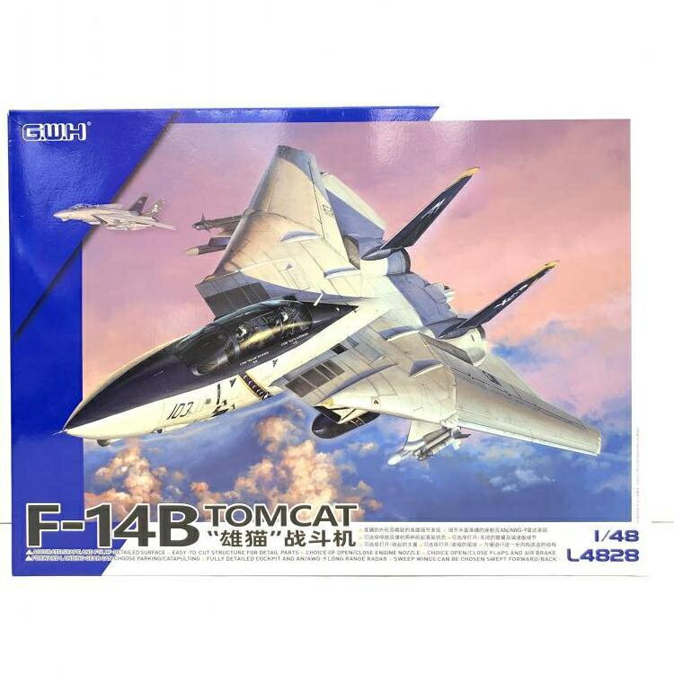 ソノタプS）1/48 アメリカ海軍 F-14B 艦上戦闘機 ピットロード/グレートウォールホビー