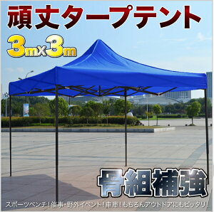テント タープテント ワンタッチタープテント 頑丈フレーム 防水 大型 タープテント 3x3m 日除け 少年野球 サッカー 屋台 イベント キャンプ アウトドア 防災 送料無料 お宝プライス ###テントS-3X3###通販格安セール情報 楽天 通販