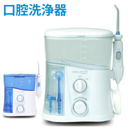 口腔洗浄器 【着後レビューで特典E】口腔洗浄器 口洗浄 高圧口腔洗浄器 マウスウォッシャー 歯茎 デンタルウォッシャー 口内洗浄 口腔 口腔洗浄 歯間 歯みがき 虫歯 奥歯 歯 隙間 除菌 抗菌 シンプル コンパクト 送料無料 ###口内クリーナFC188###