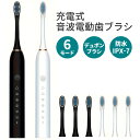 \4月24日20時スタート!全品10%OFF!!/音波電動歯ブラシ 替えブラシ4個付き 歯ブラシ