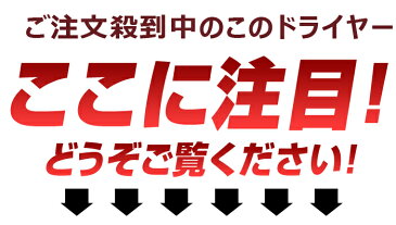 ドライヤー ヘアドライヤー【総合ランキング1位獲得！】1200W 温度調節 風量調節 軽量 風量切替 8段階 最大風量0.9m2/分 プロ仕様 サロン 美容室 送料無料 ###ドライヤーTC-1822###