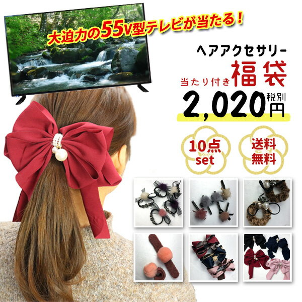 福袋 2020 レディース お宝ワールド福袋 特賞あり 大型テレビ ヘアアクセサリー10点セット ヘアゴム バレッタ クリップ ヘアコーム 送料無料 冬アイテム###アクセサリ福袋A###