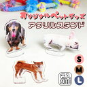 犬 ステッカー 【クリアウィンドウデコ うちの子 シリーズ】 柴犬 プードル チワワ ダックス ポメラニアン シュナウザー 透明 両面カラー 耐水 仕様 デコレーション シール ガラスフィルム インテリア