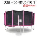 【 事業所/営業所引き取り 送料無料】 超特大16Ft 488cm 安全セーフティネット付 昇降ハシゴ付 大型トランポリン###トランポリンTR16### その1