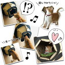 猫 キャットハウス ダンボール ペットハウス 猫トンネル 爪とぎ つめとぎ 爪磨き お手入れ用品 ネコ 猫ベッド 猫の爪とぎ 送料無料　###キャットボール242◆### 3