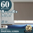 ロールスクリーン ロールカーテン ロールブラインド 幅60cm 遮光率99.99%###スクリーンRK60###